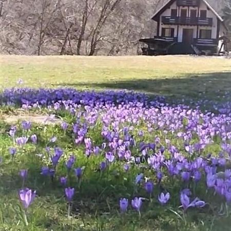 Casa De Vacanta Satic Piatra Craiului La Doi Viermi Екстериор снимка