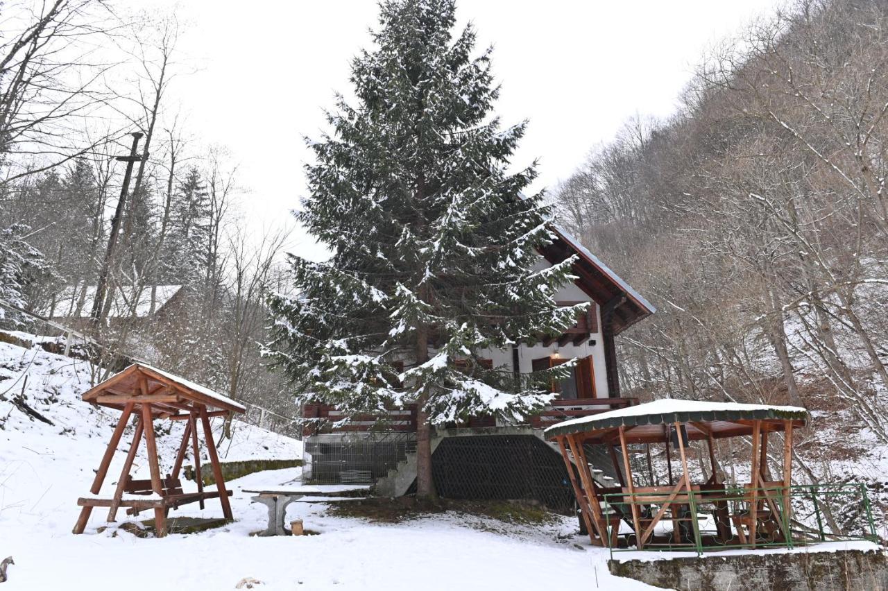 Casa De Vacanta Satic Piatra Craiului La Doi Viermi Екстериор снимка