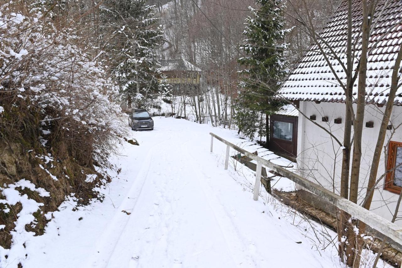 Casa De Vacanta Satic Piatra Craiului La Doi Viermi Екстериор снимка