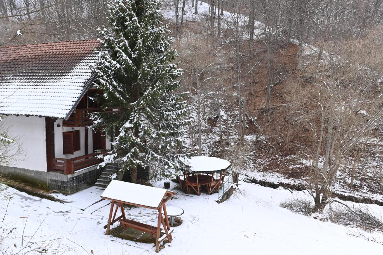 Casa De Vacanta Satic Piatra Craiului La Doi Viermi Екстериор снимка
