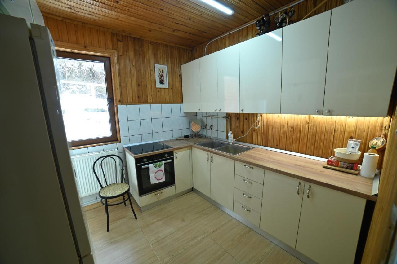 Casa De Vacanta Satic Piatra Craiului La Doi Viermi Екстериор снимка