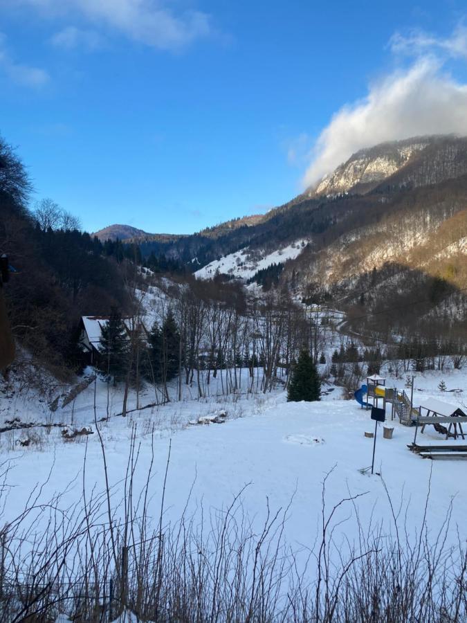 Casa De Vacanta Satic Piatra Craiului La Doi Viermi Екстериор снимка