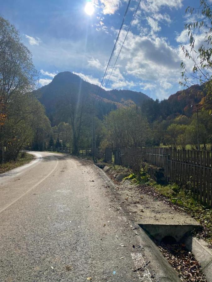 Casa De Vacanta Satic Piatra Craiului La Doi Viermi Екстериор снимка