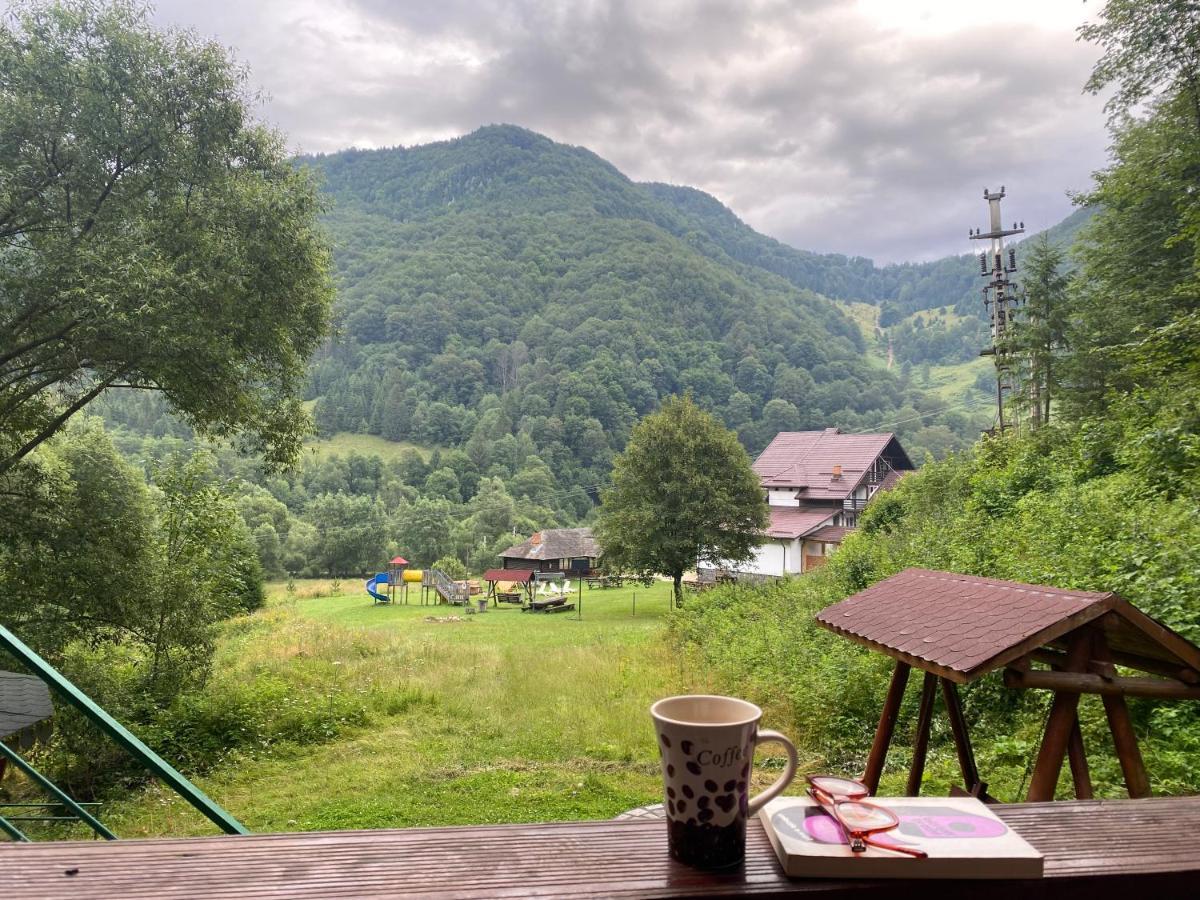 Casa De Vacanta Satic Piatra Craiului La Doi Viermi Екстериор снимка