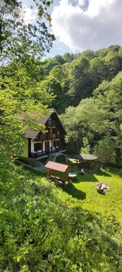 Casa De Vacanta Satic Piatra Craiului La Doi Viermi Екстериор снимка