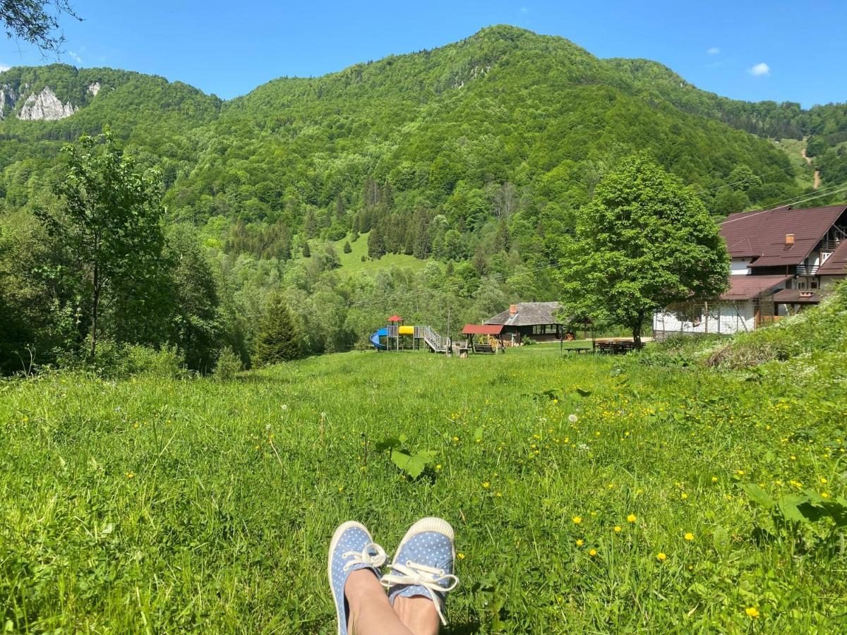 Casa De Vacanta Satic Piatra Craiului La Doi Viermi Екстериор снимка