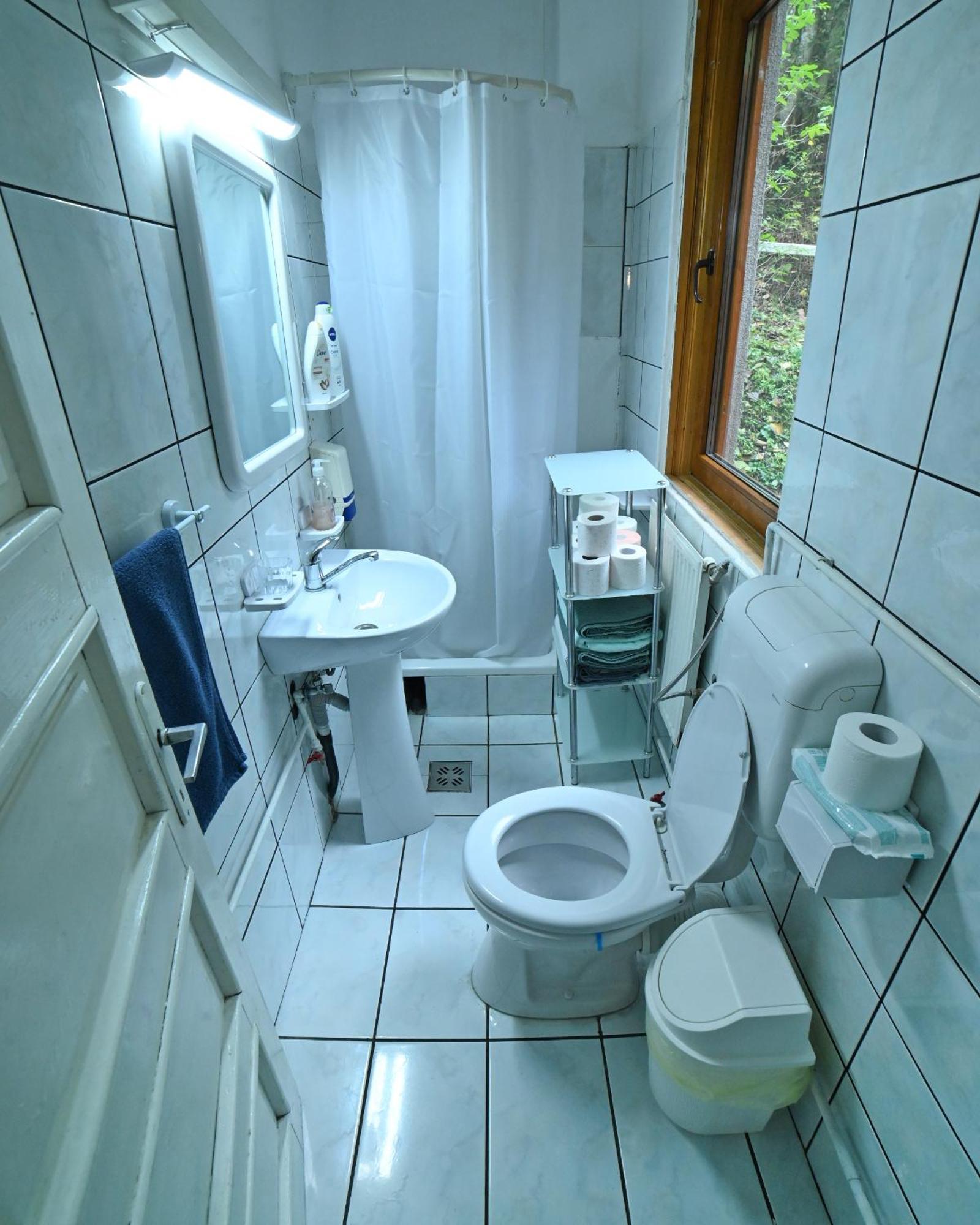 Casa De Vacanta Satic Piatra Craiului La Doi Viermi Екстериор снимка